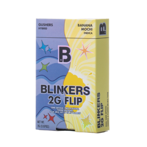 Blinkers 2G